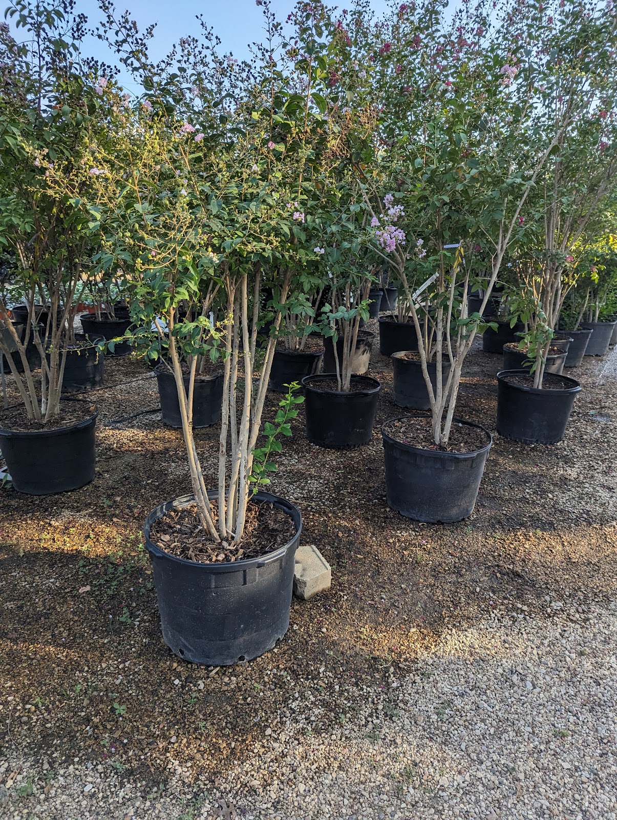 Meador's Garden Center & Landscaping