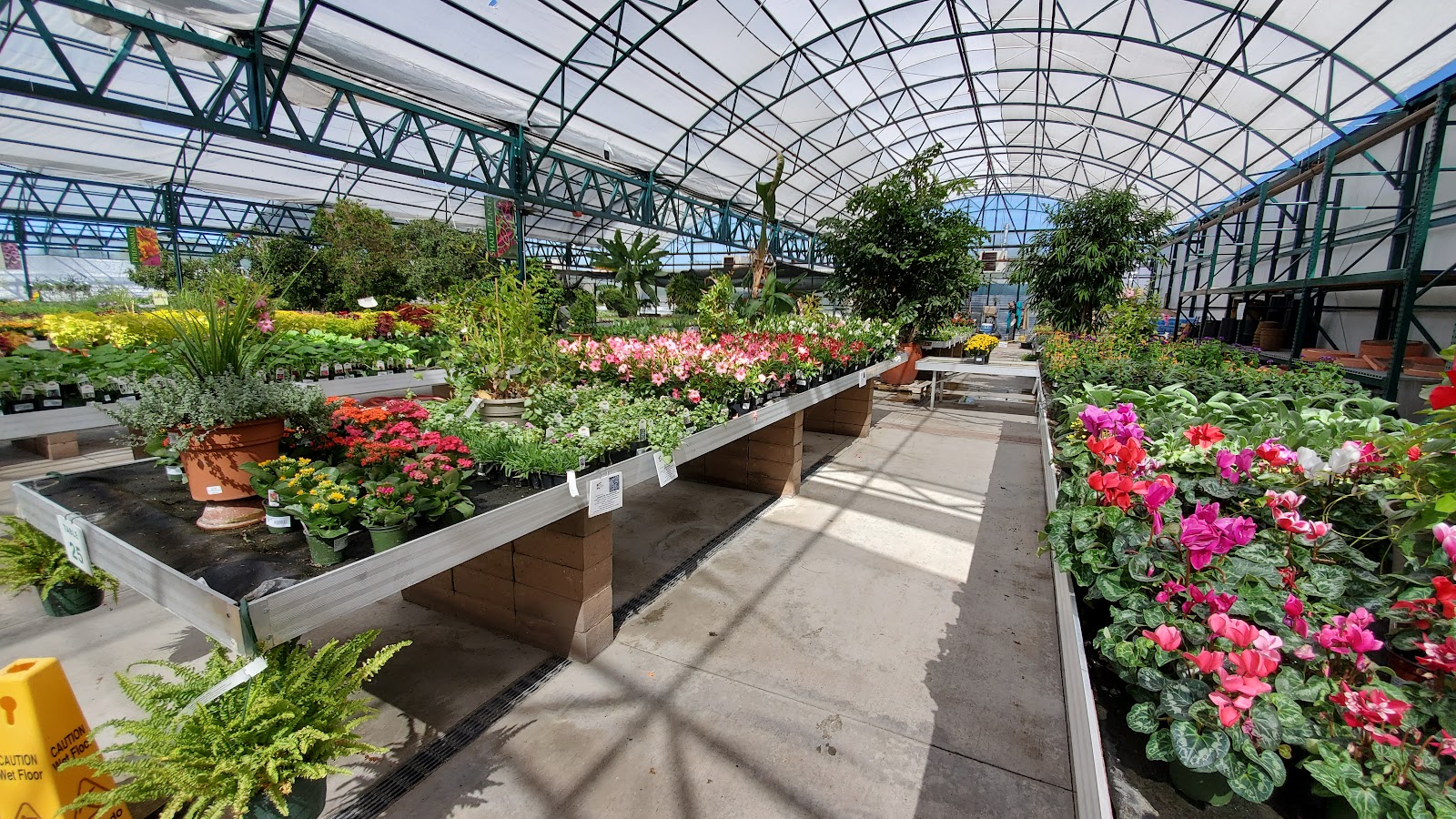Mesquite Valley Growers Nursery