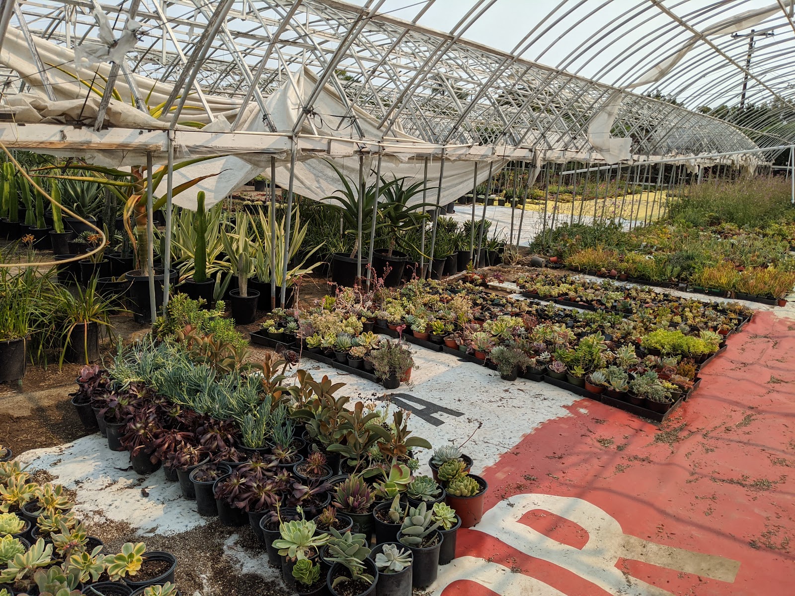 Mezcala Nursery
