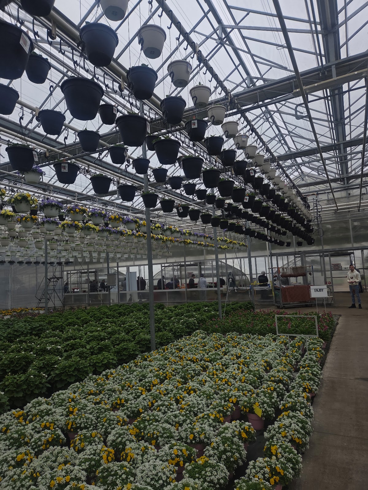 Michael's Greenhouses