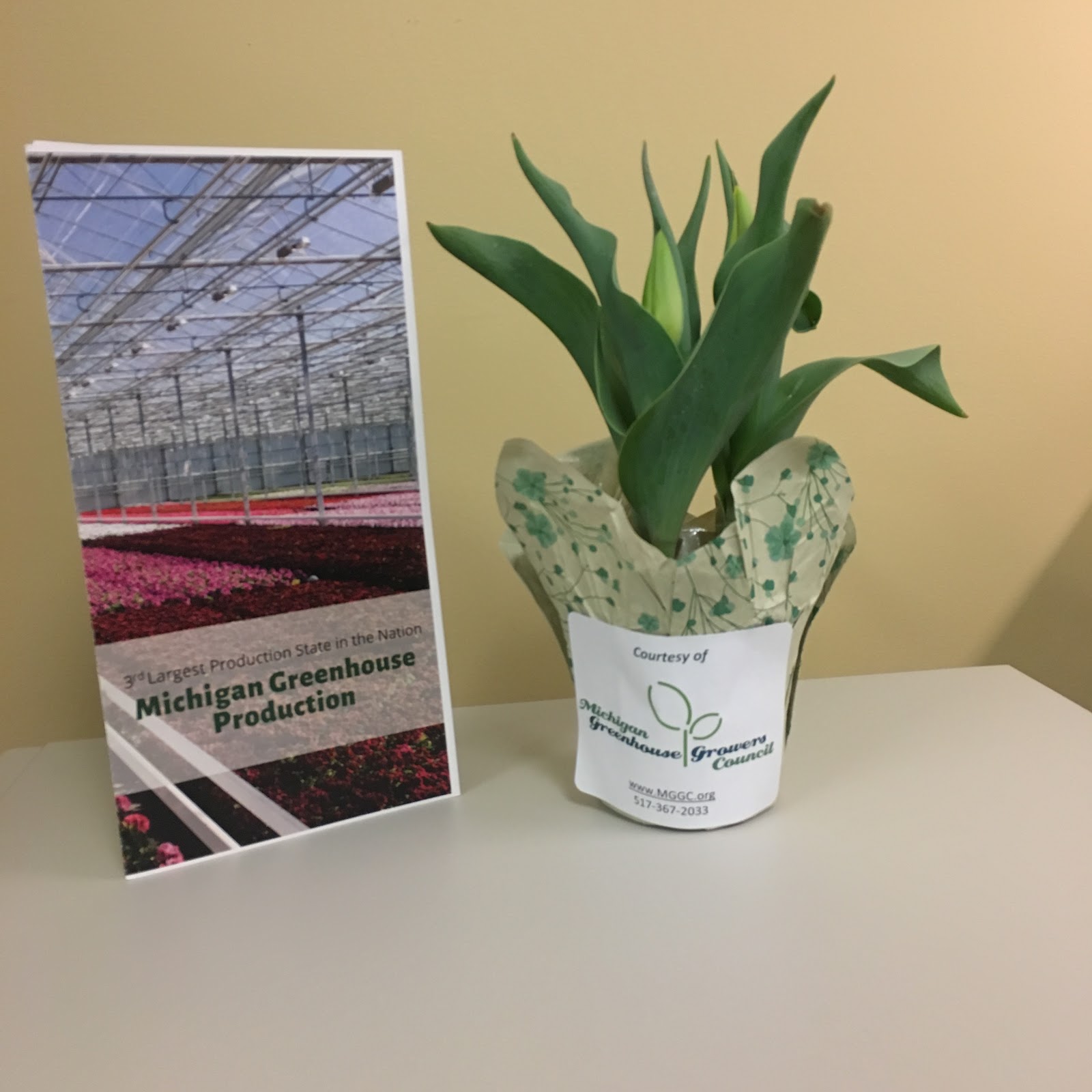 Michigan Greenhouse Growers Council