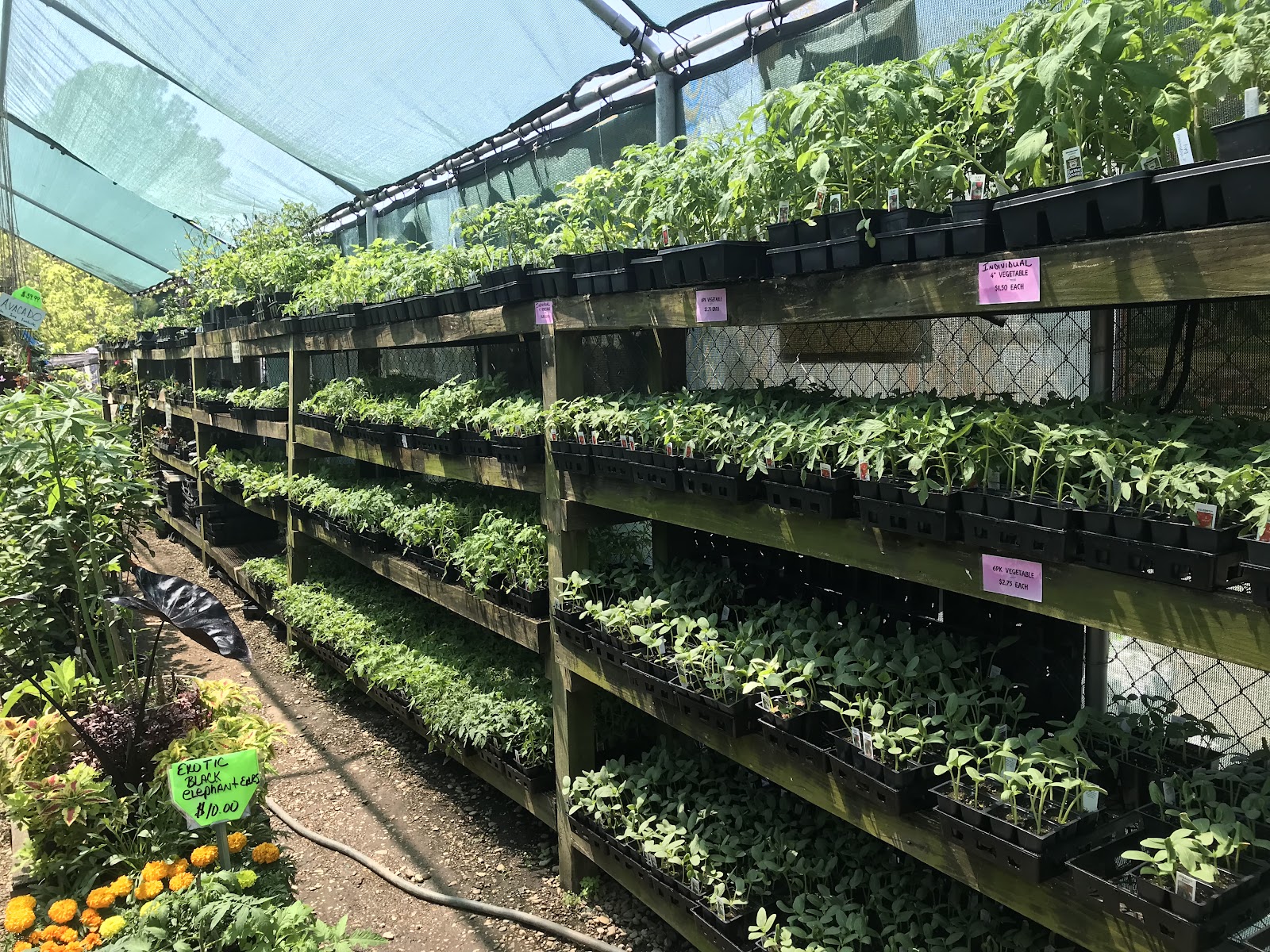 Mid-County Farm & Feed Supply