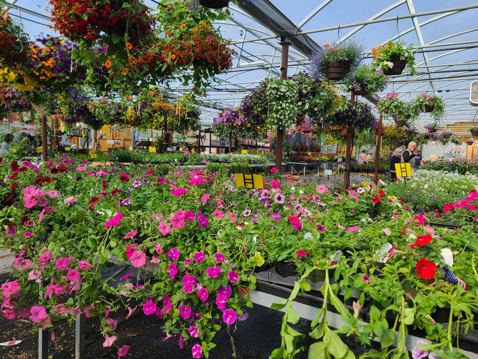 MidValley Greenhouse