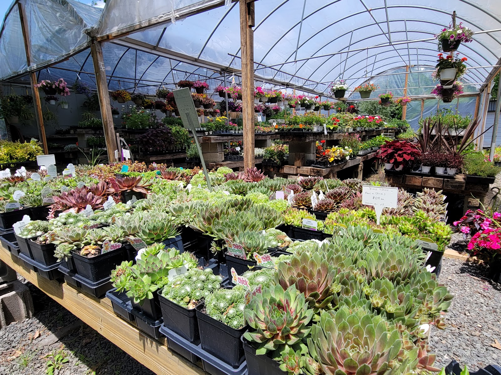 Mike's Country Market