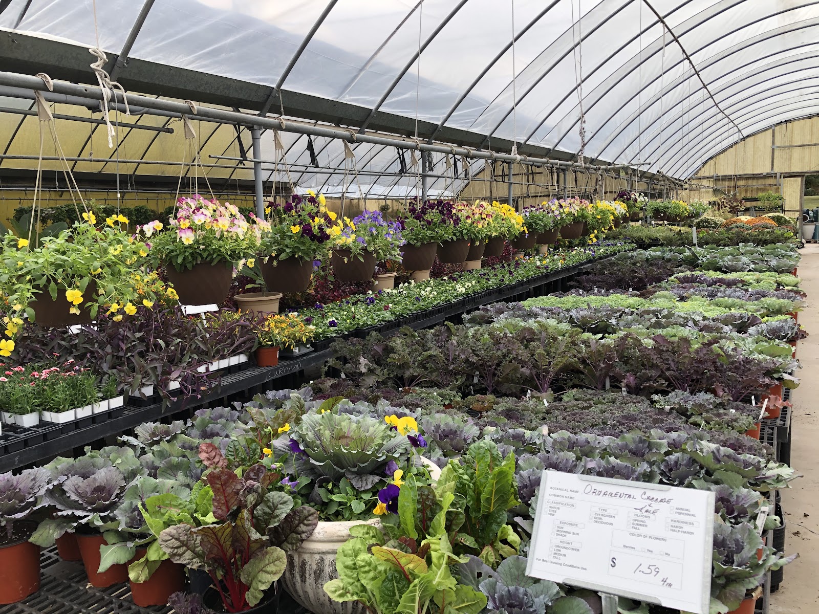 Mike's Garden Centers