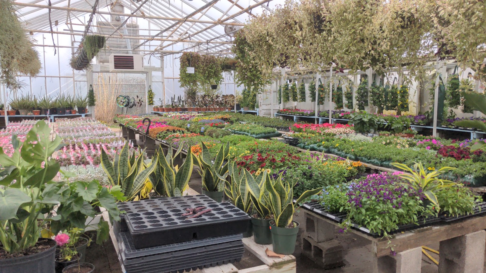 Mike Weber Greenhouses