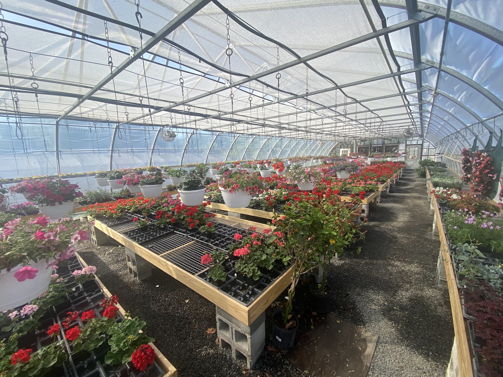 Miller Greenhouses Inc