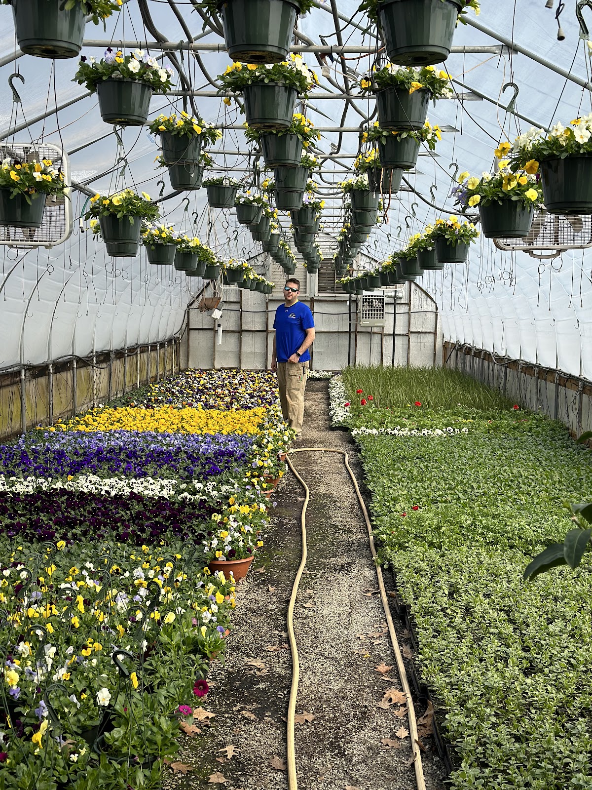 Miller Greenhouses of Wallingford