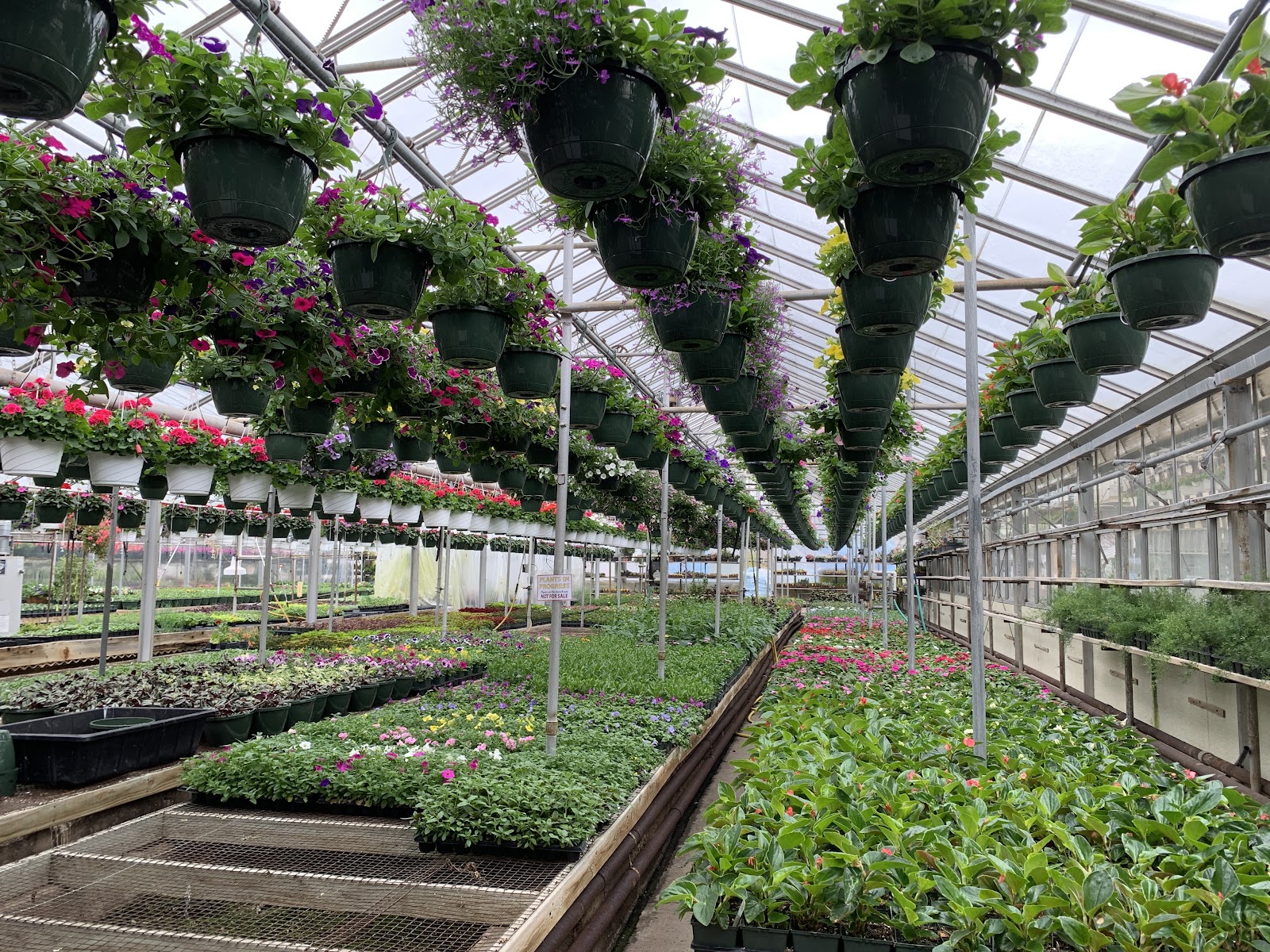 Mischler's Florist and Greenhouses