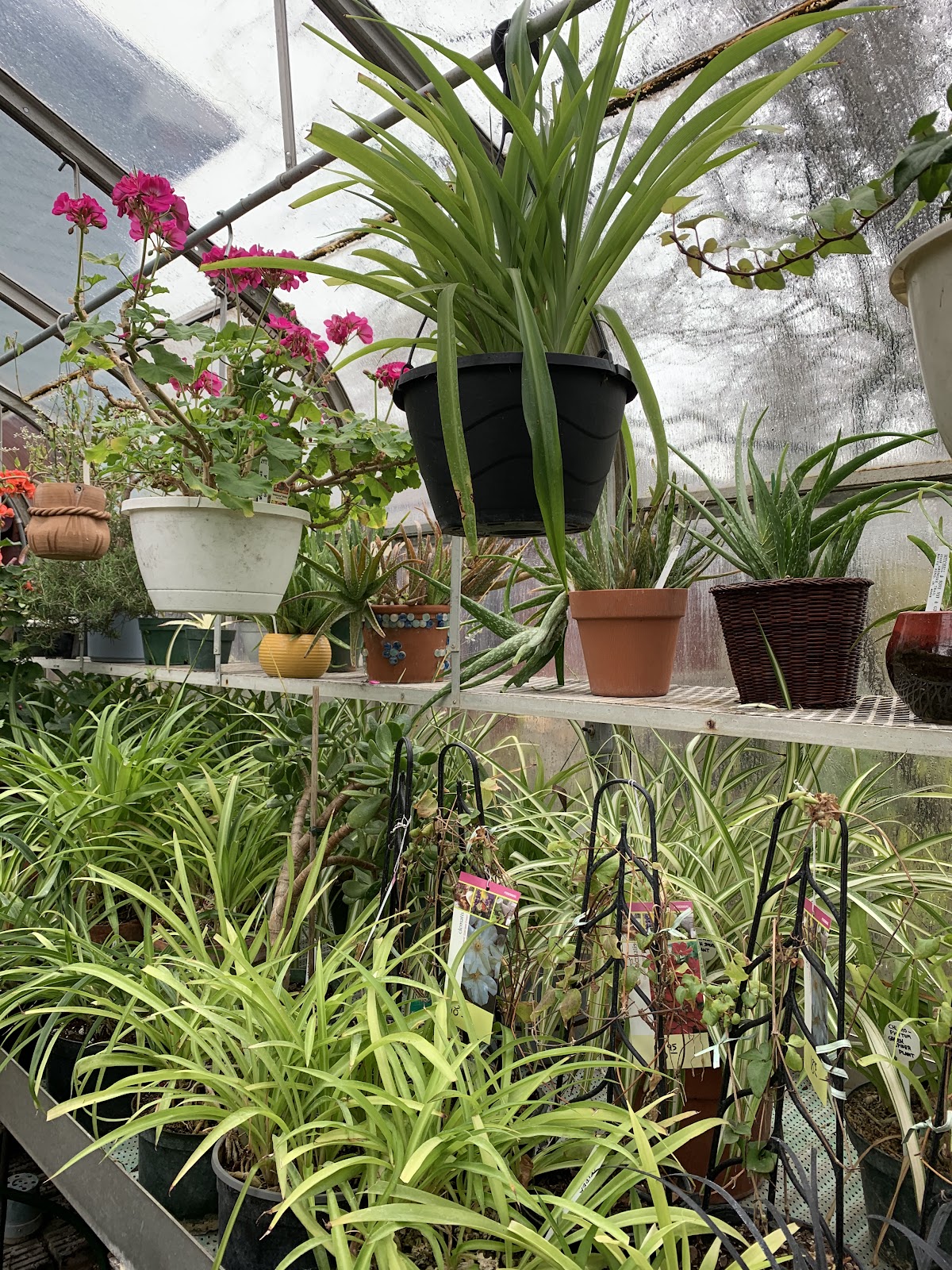Mitchell & Sons Nursery Center