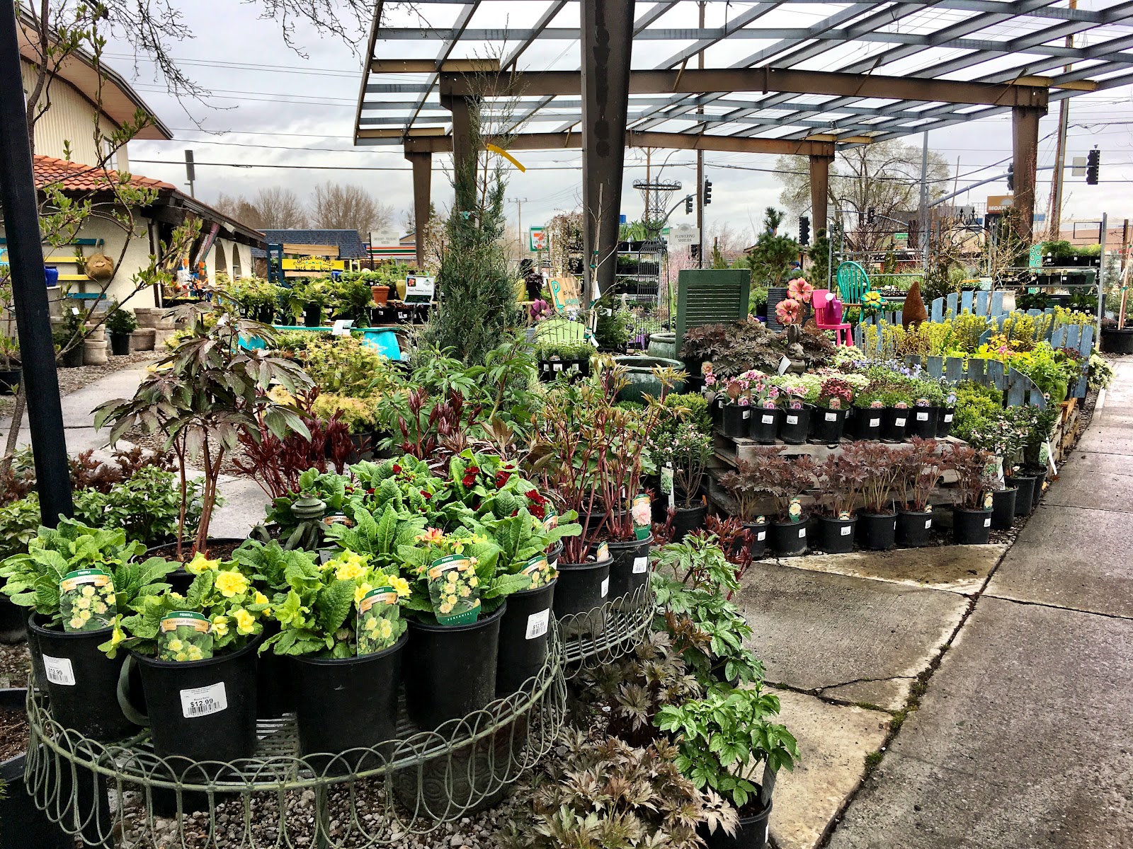 Moana Nursery