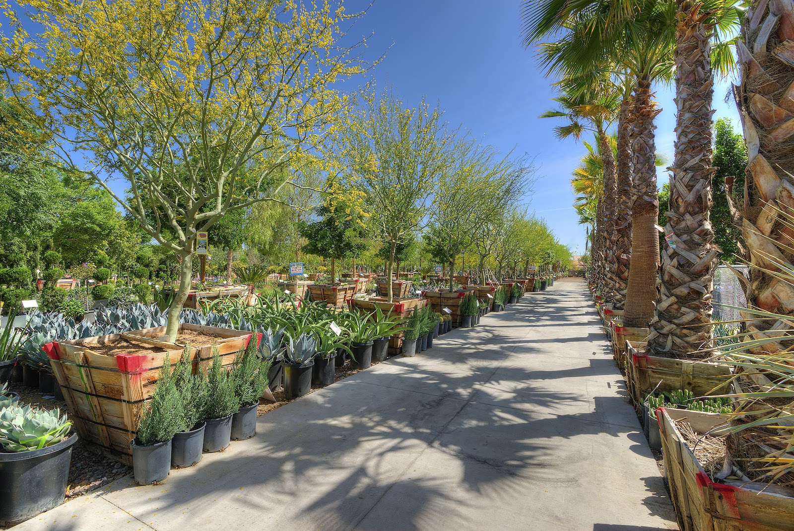 Moon Valley Nurseries