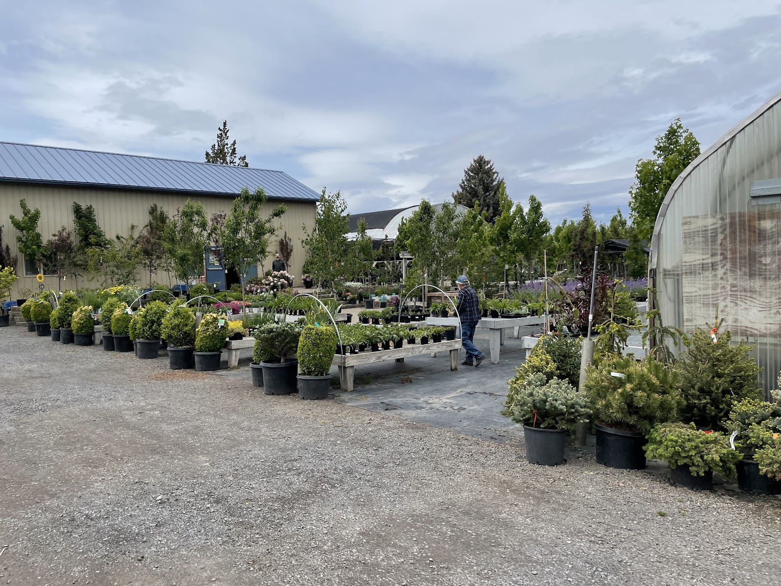 Moonfire & Sun Garden Center