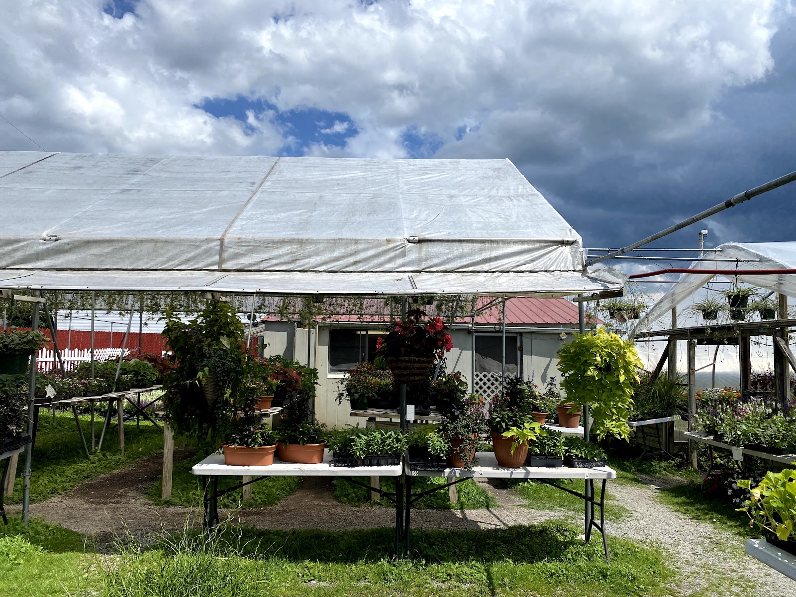 Morris Greenhouses