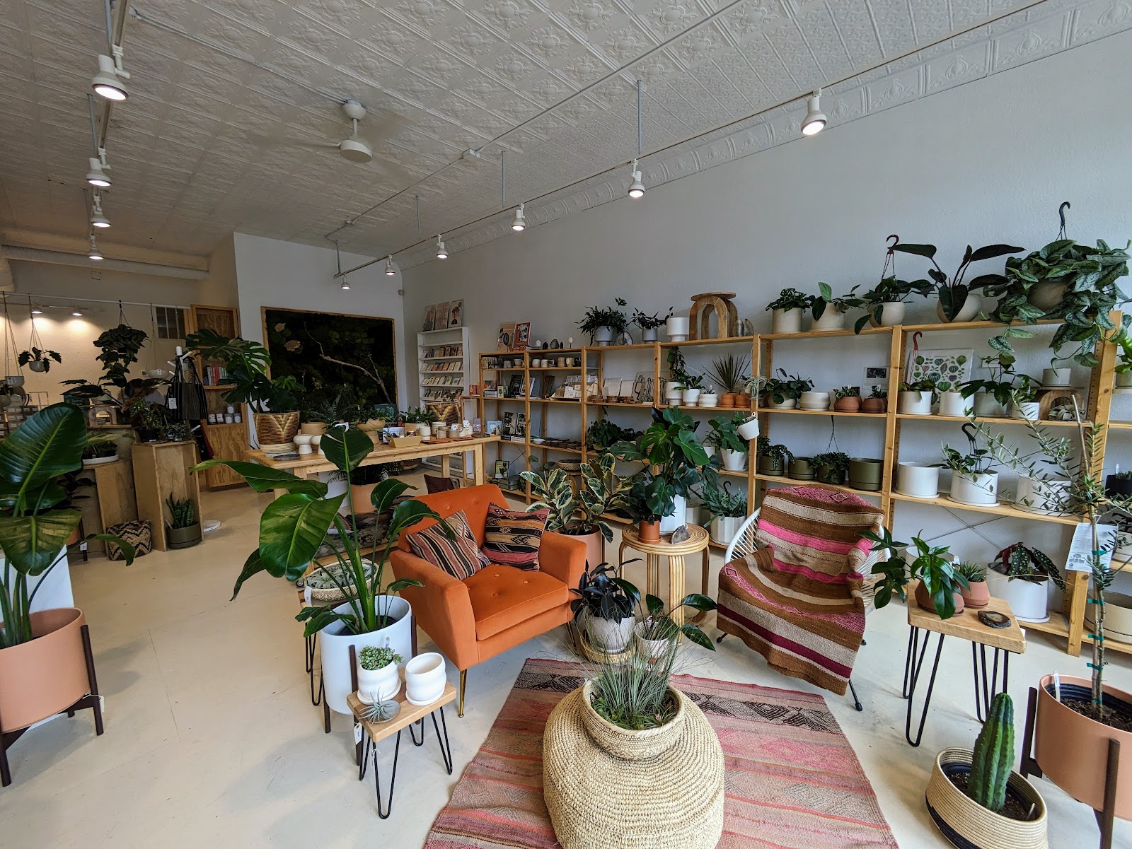 Moss Plant Shop