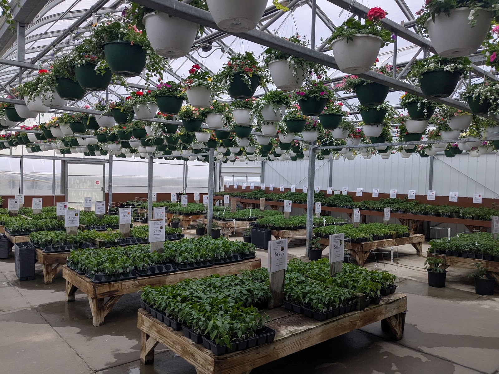 Motman's Greenhouses