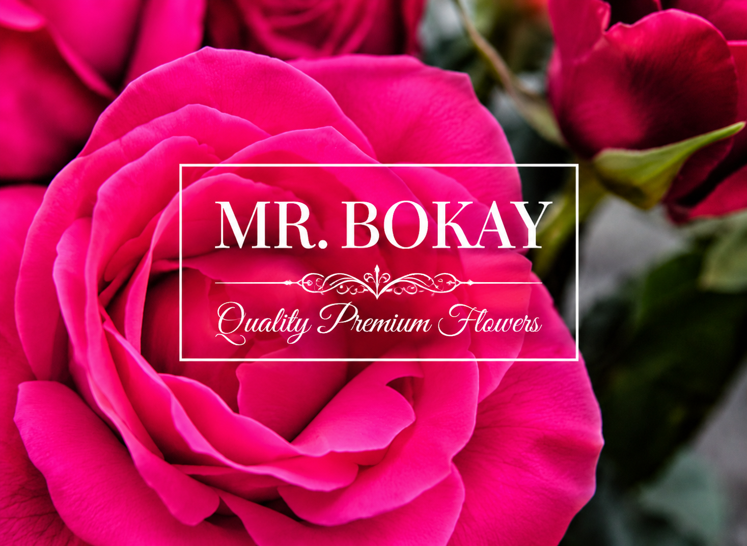 Mr. Bokay Flowers and Greenhouse & Flower Delivery