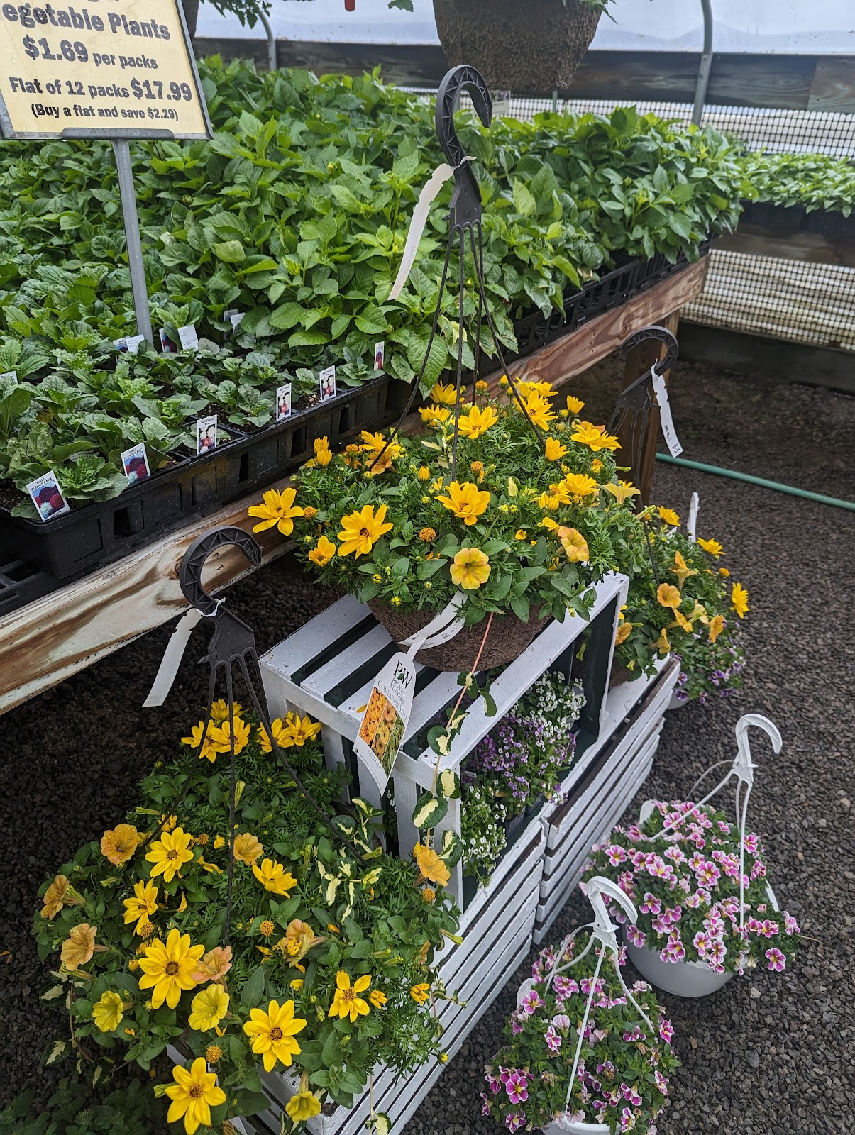 Mt Eaton Greenhouse