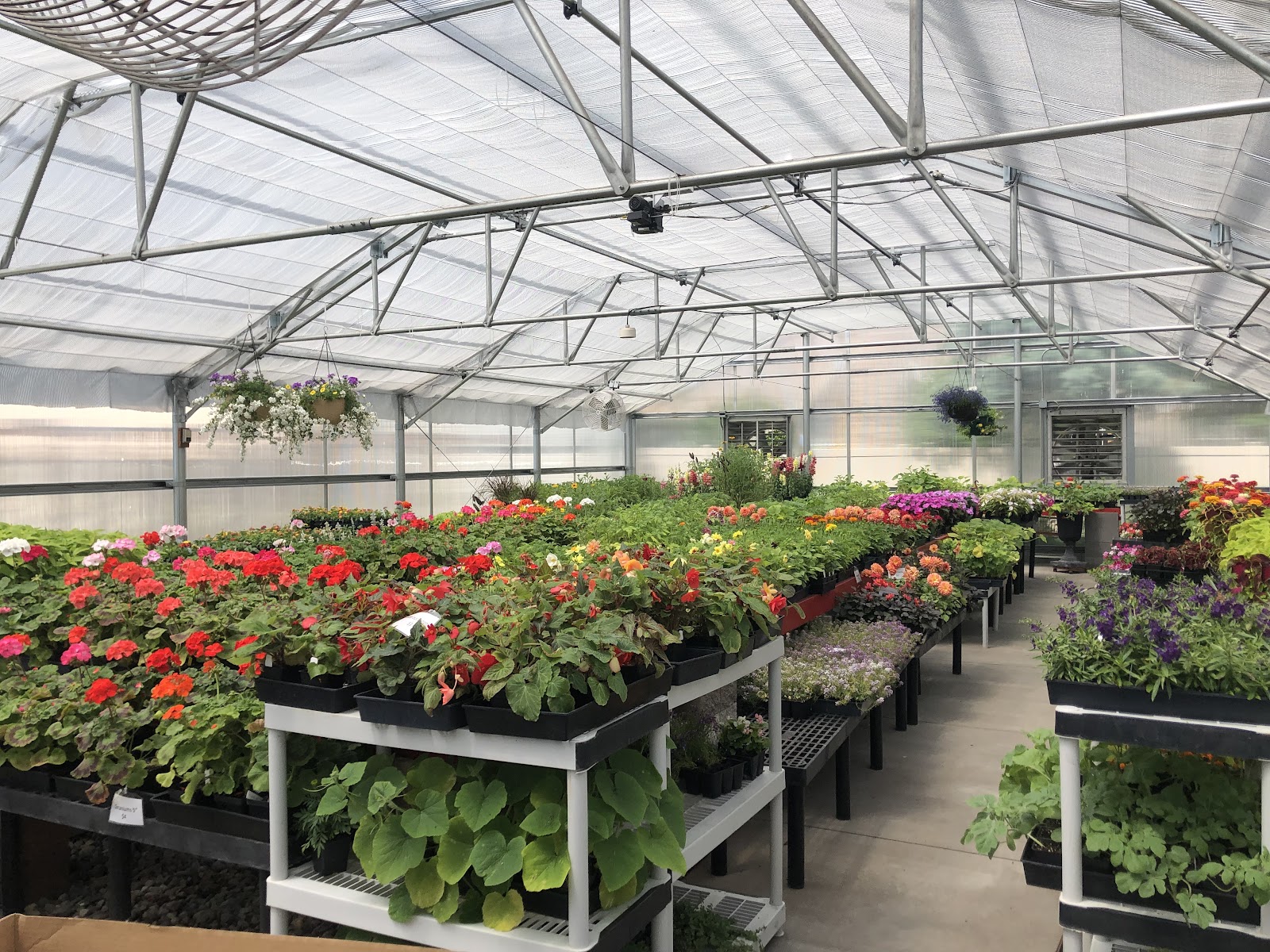 Murray Greenhouse Foundation