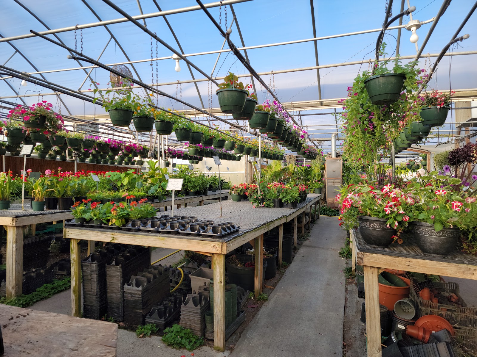 Myers Greenhouse