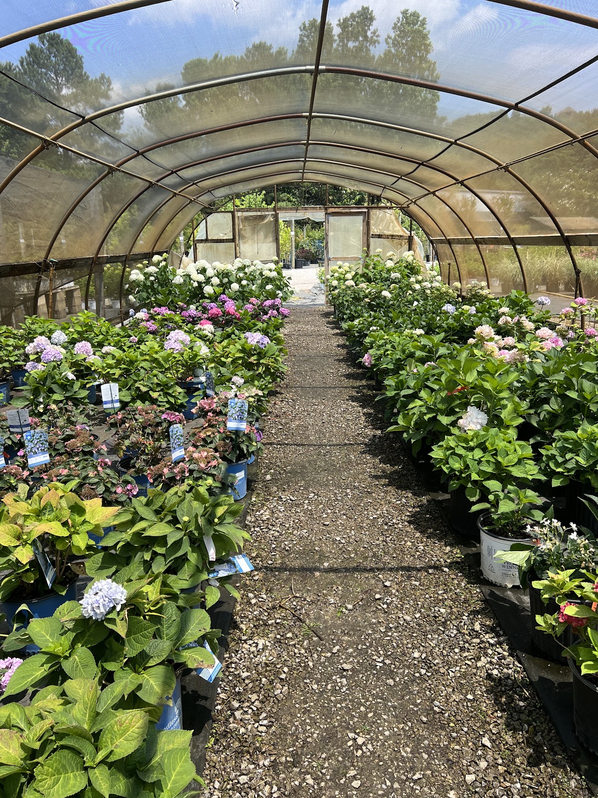 Myers Plants & Pottery