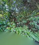 Narahara Nursery