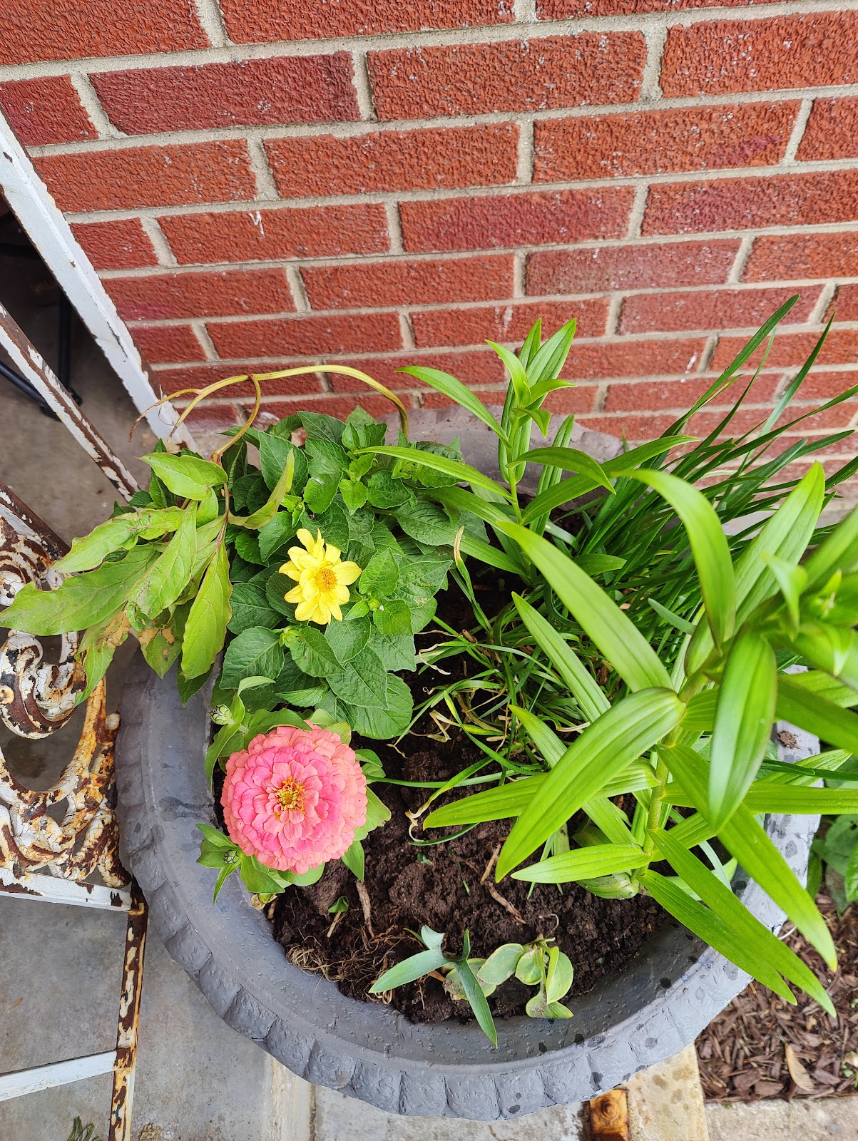 Natalie's Garden and Greenhouse