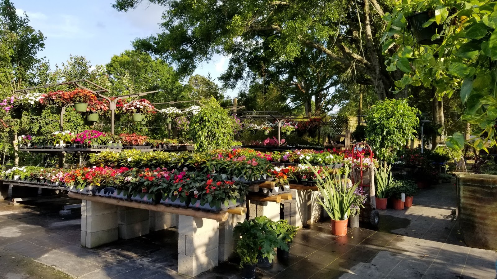 Native Sun Nursery & Landscaping, LLC