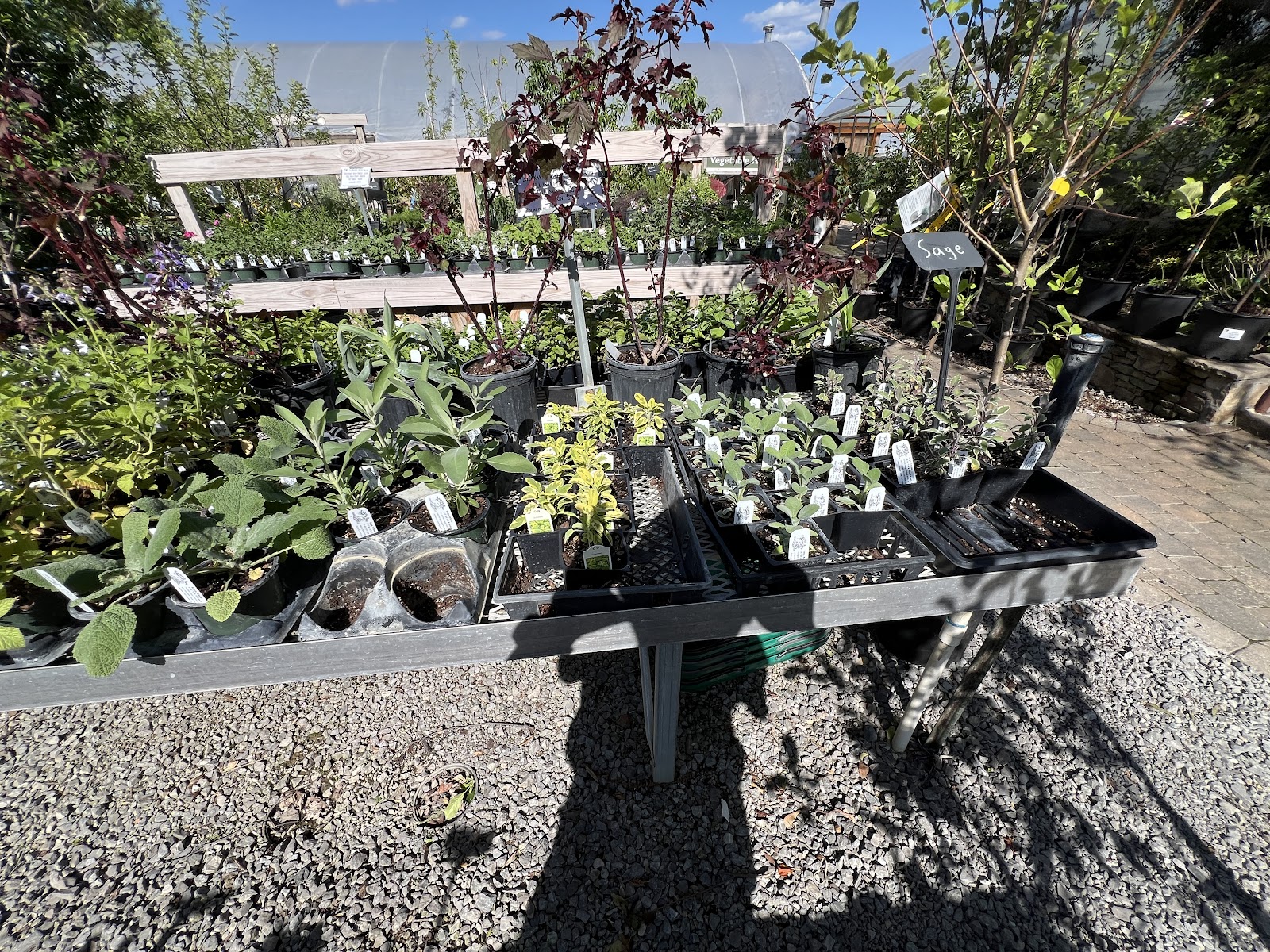 Nature's Best Nursery, Lawn and Landscape