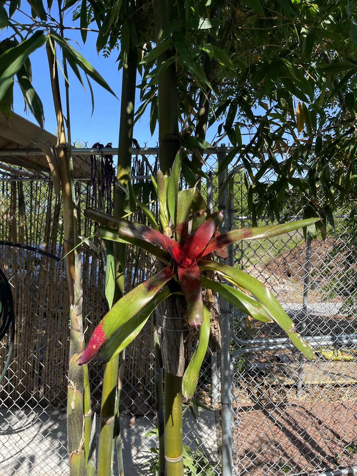Nature's Greenhouse L.L.C.