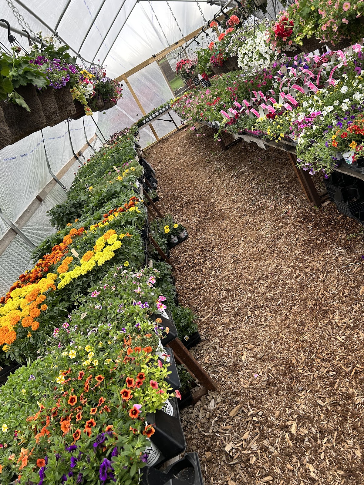 Nebben Country Greenhouse, LLC
