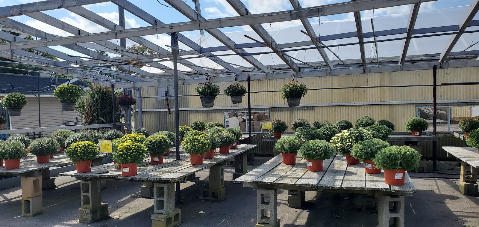 Nessralla's of Avon - Greenhouse and Garden Center