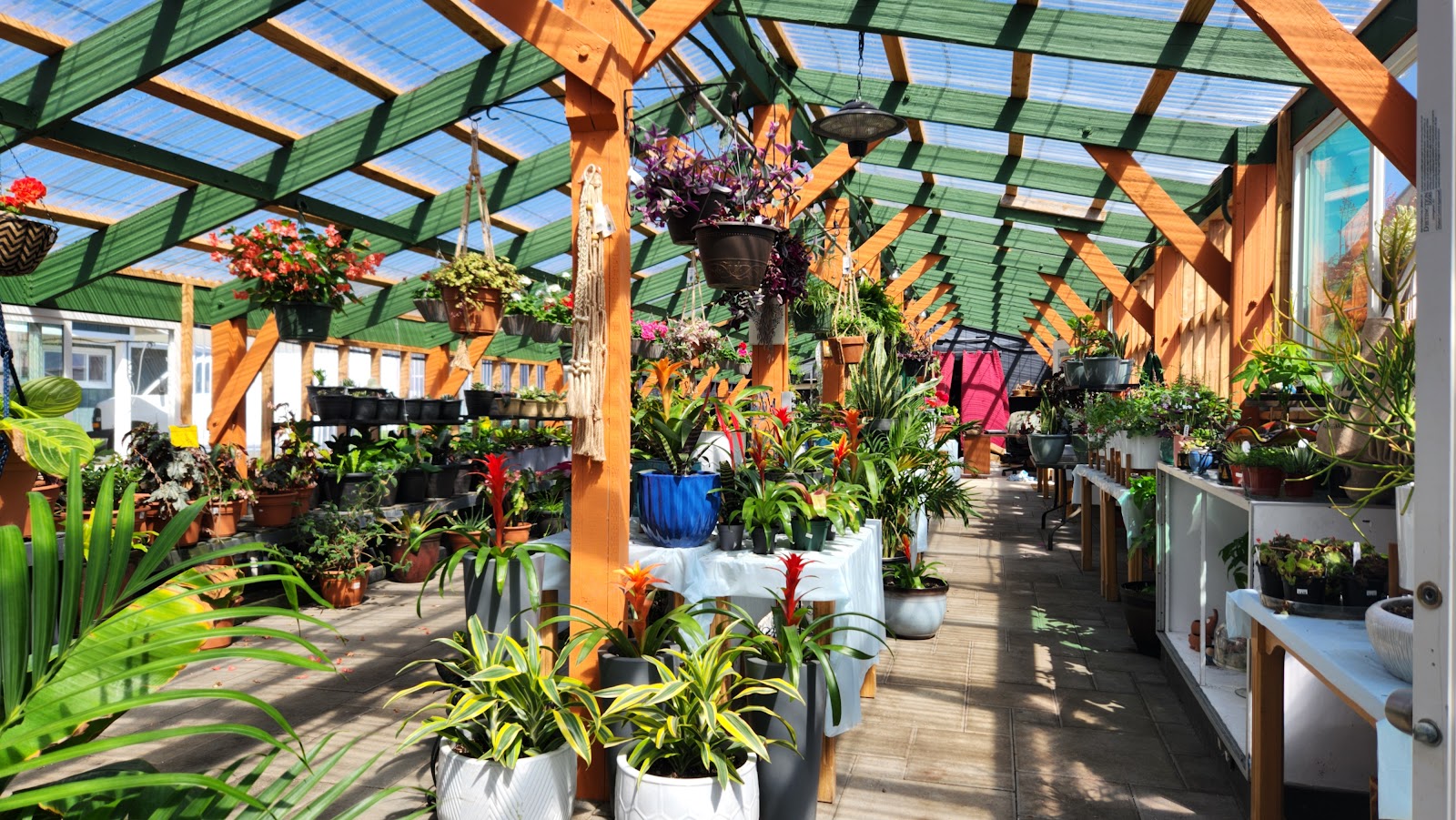New Leaf Greenhouse