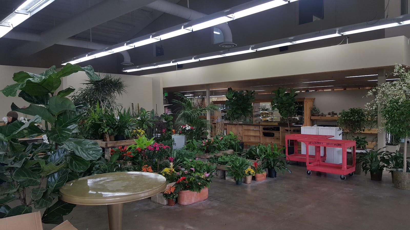 Newberry Brothers Florist