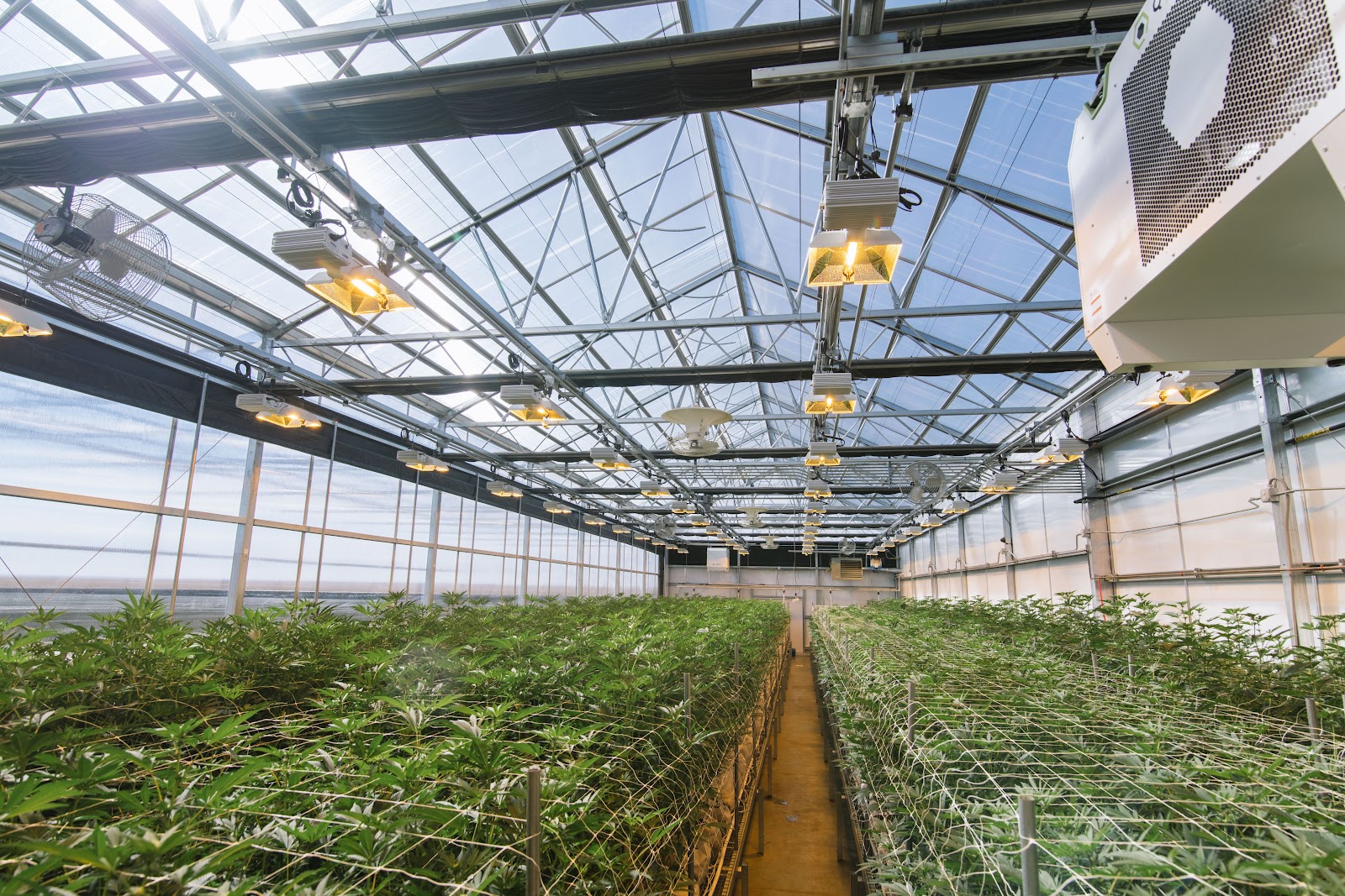 Next G3N Greenhouse