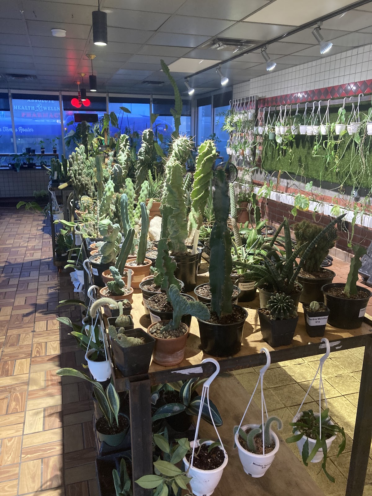Nice Plants Good Pots