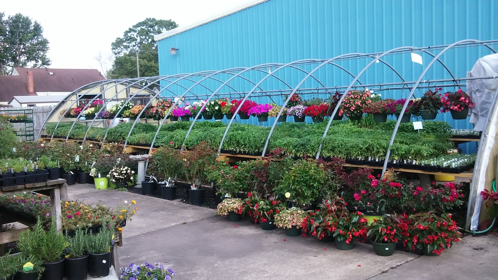 Norfolk County Feed and Seed