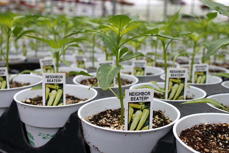 North Dayton Garden Center & Nursery