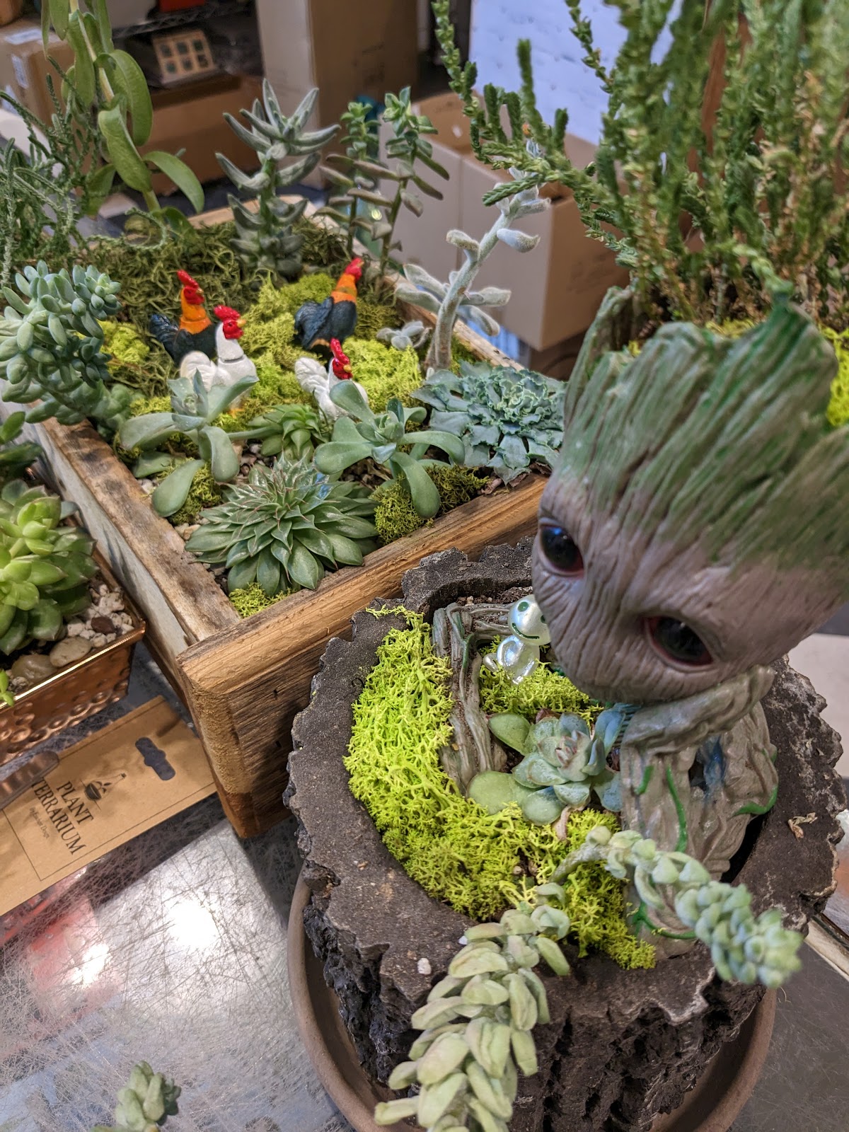 North End Organic Nursery
