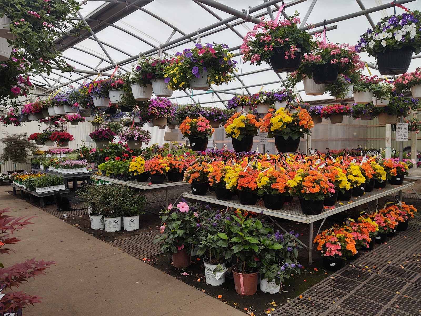 Not Just A Garden Center