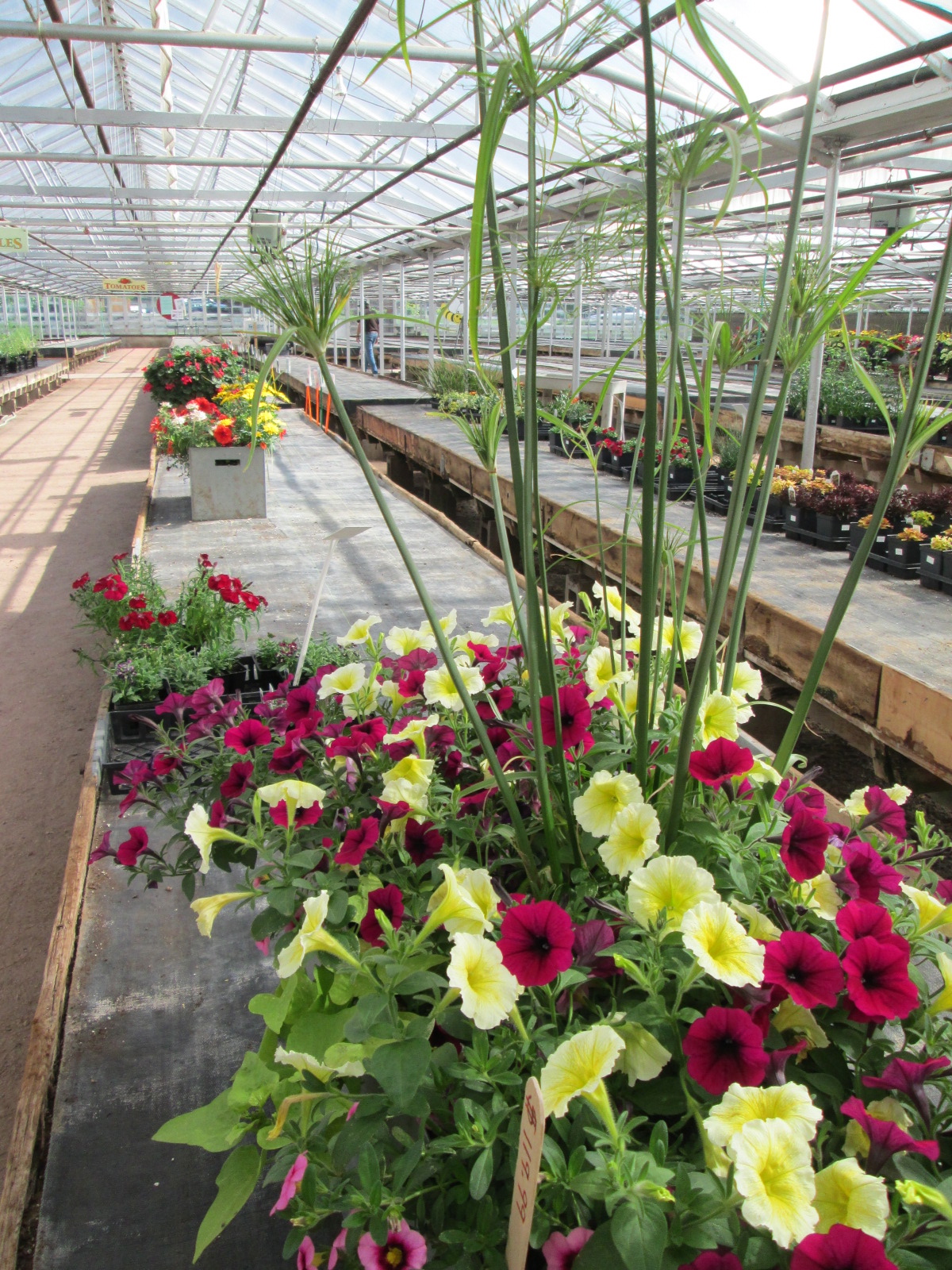 Novacek Greenhouse