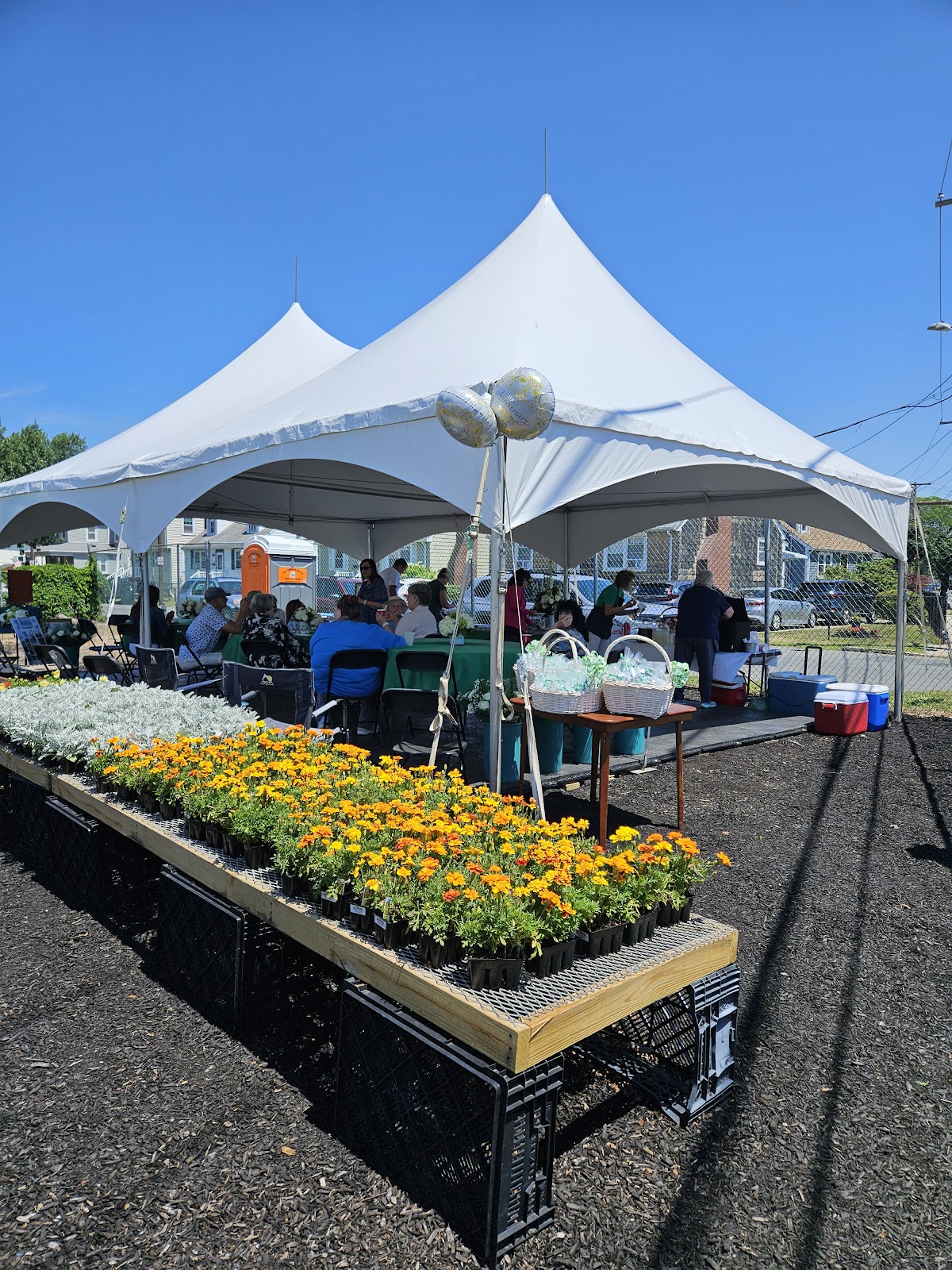 O'Brien's Florist & Greenhouse