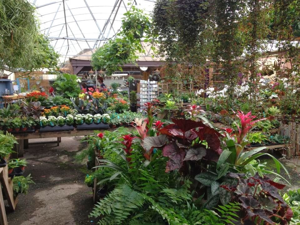 Oak Street Garden Shop