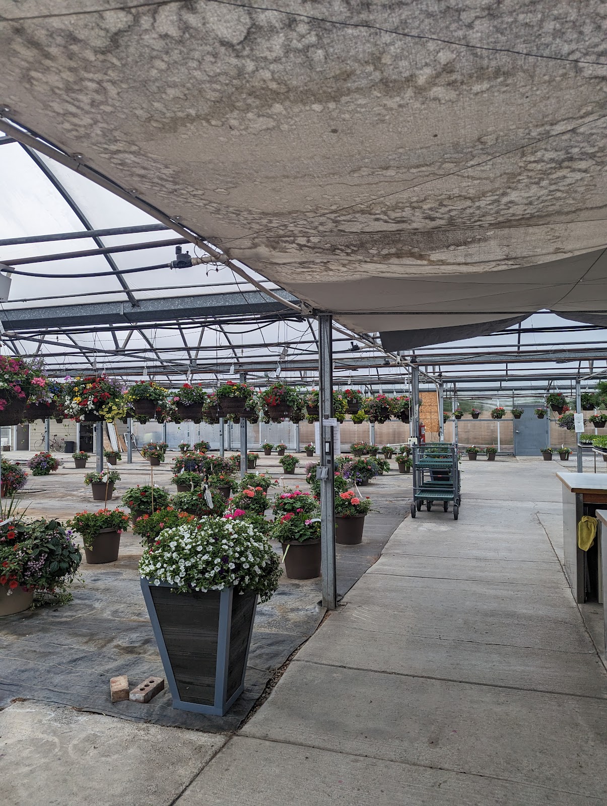 Oakbridge Greenhouse