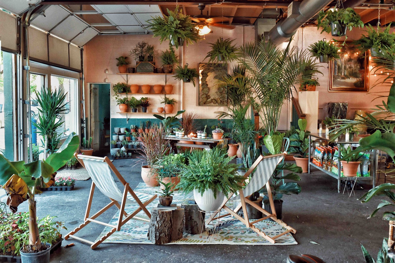 Oasis Plant Shop