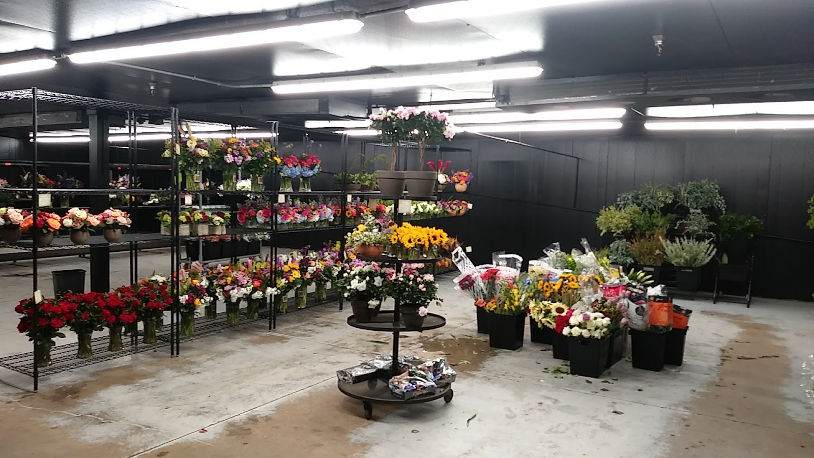 Oberer's Flowers