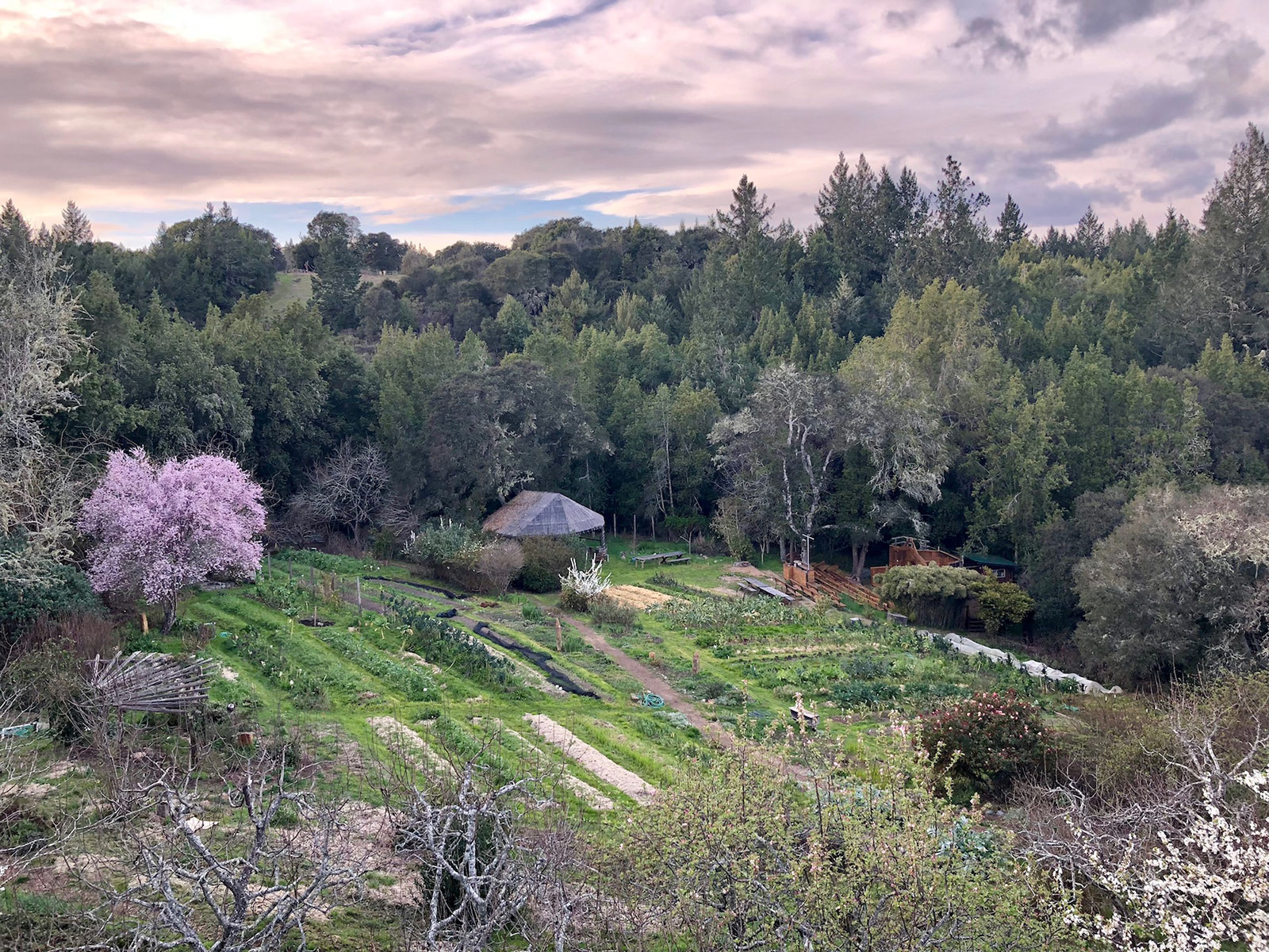 Occidental Arts & Ecology Center (OAEC)