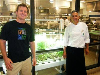 Ohana Greenhouse & Garden Supply