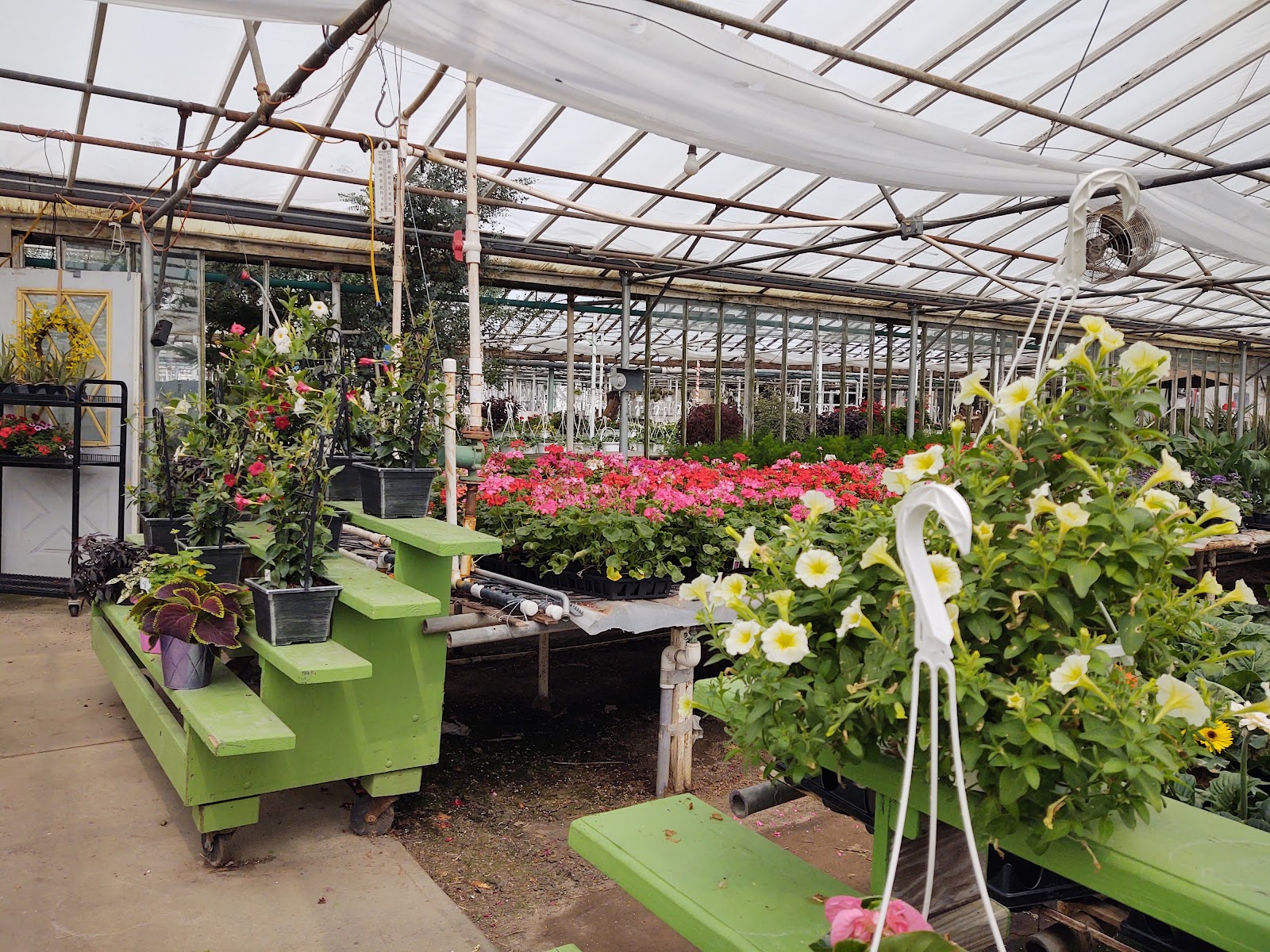 Old Brooklyn Greenhouse