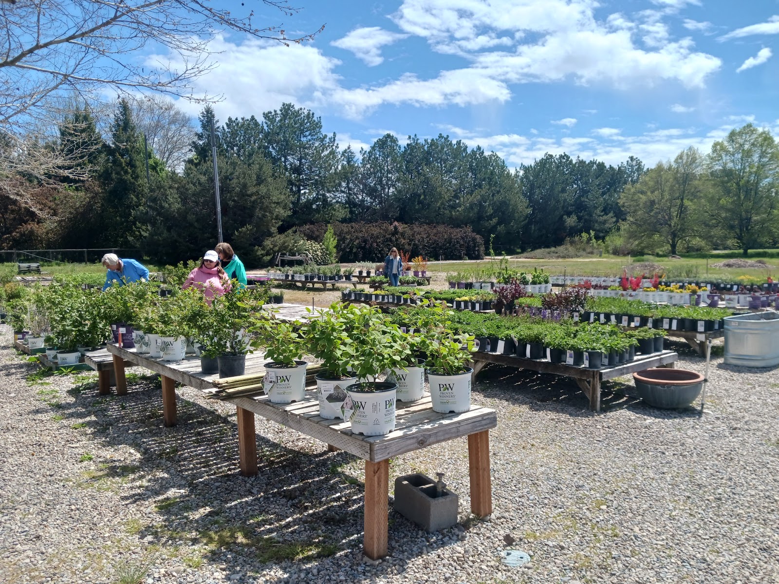 Old Valley Nursery - Retail